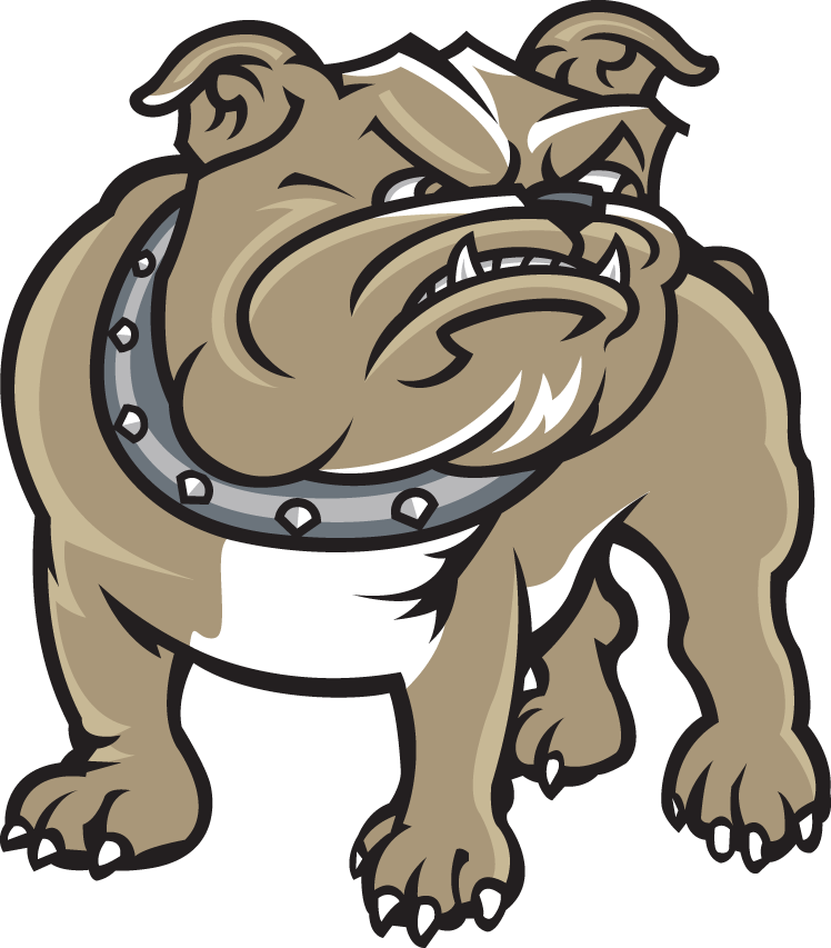 Bryant Bulldogs 2005-Pres Alternate Logo DIY iron on transfer (heat transfer)